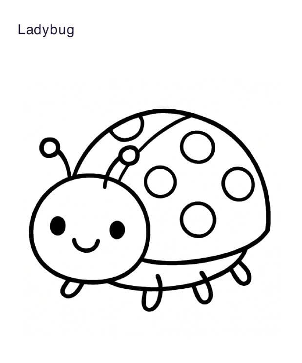 Free Bug & Insect Coloring Pages
